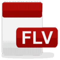 Flv-video-player1-300x300
